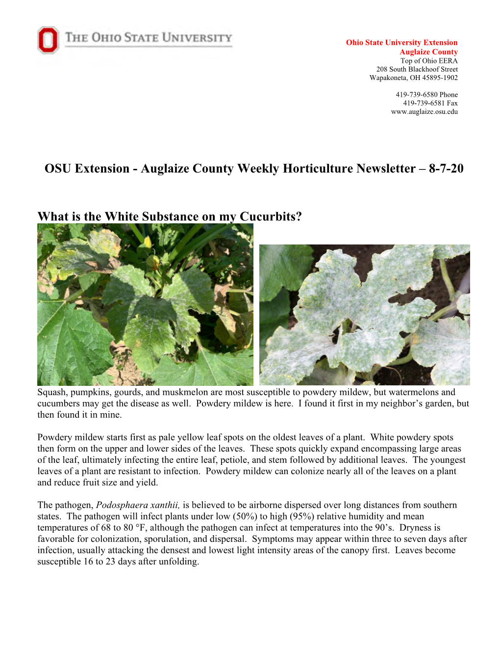 OSU Extension - Auglaize County Weekly Horticulture Newsletter – 8-7-20