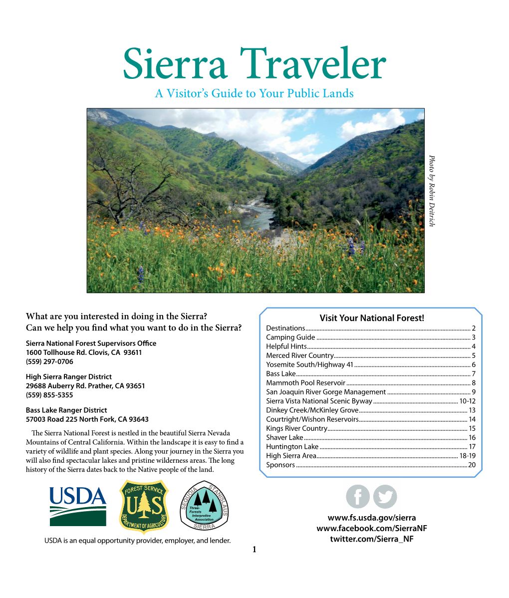 Sierra Forest Visitor Guide