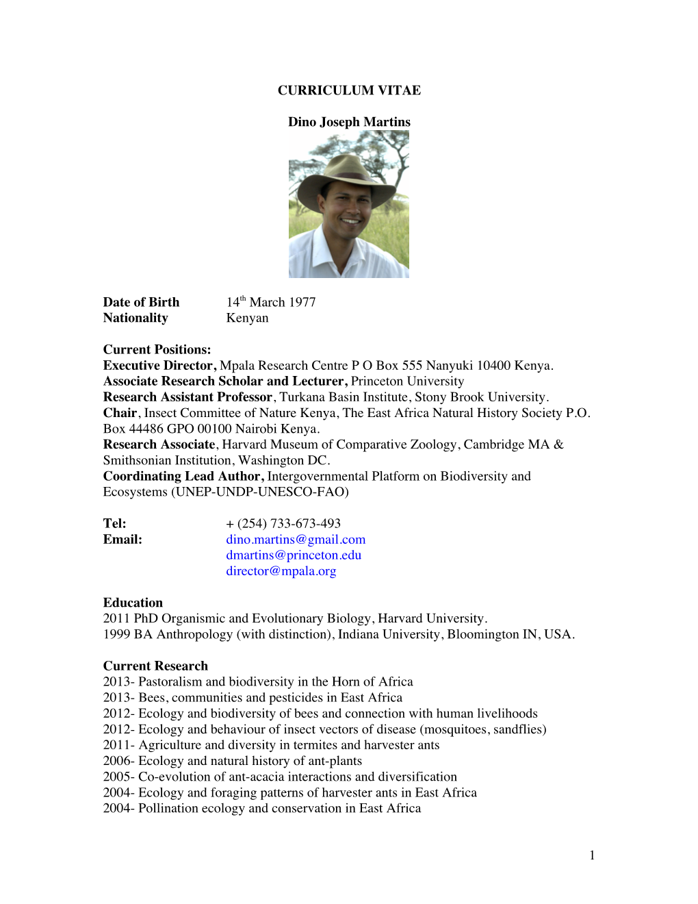 Dino Martins CV