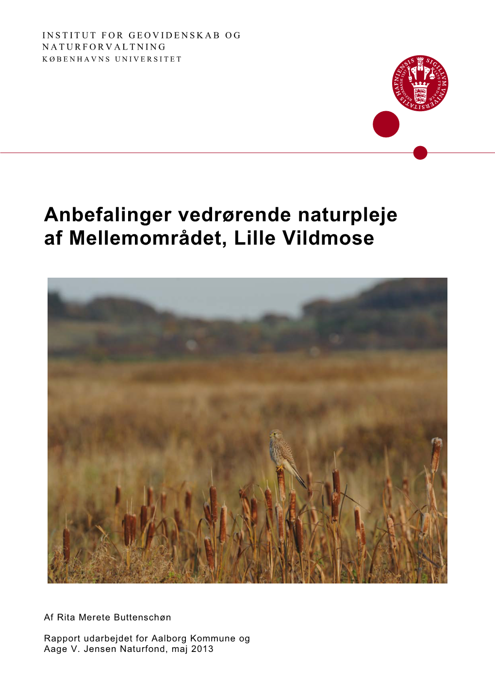 Anbefalinger Vedrørende Naturpleje Af Mellemområdet, Lille Vildmose