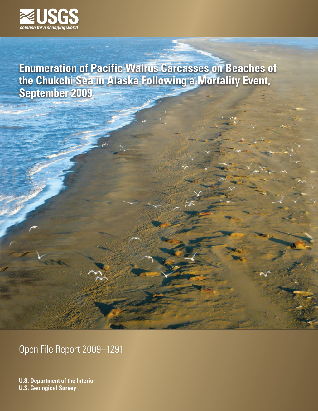 Enumeration of Pacific Walrus Carcasses on Beaches of the Chukchi Sea in Alaska Following a Mortality Event, September 2009
