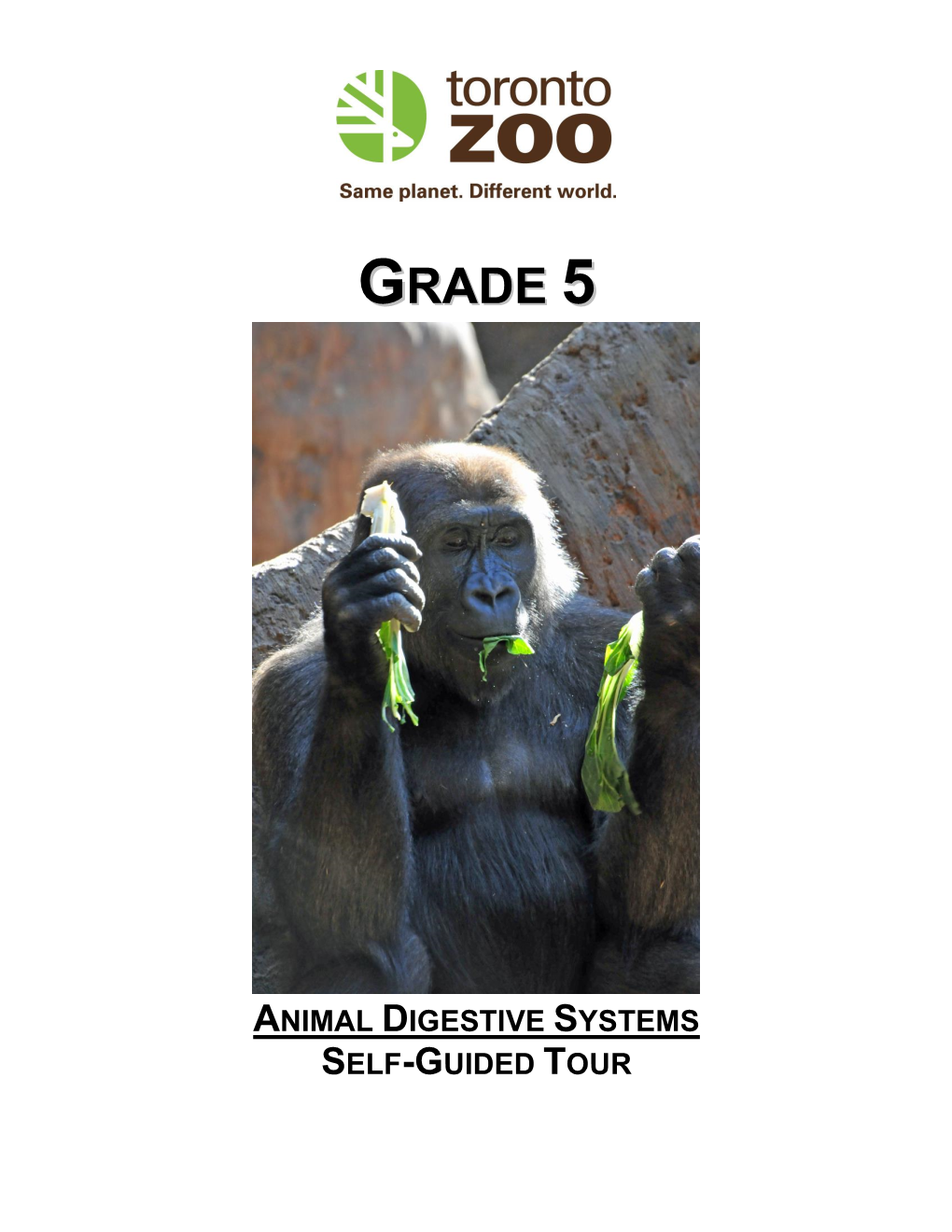 Animal Digestive Systems Self-Guided Tour