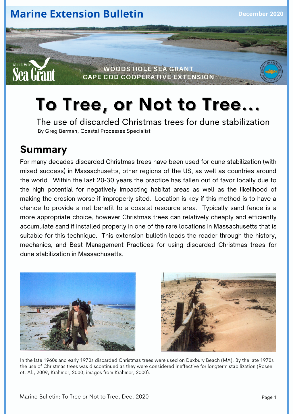 The Use of Discarded Christmas Trees for Dune Stabilization In