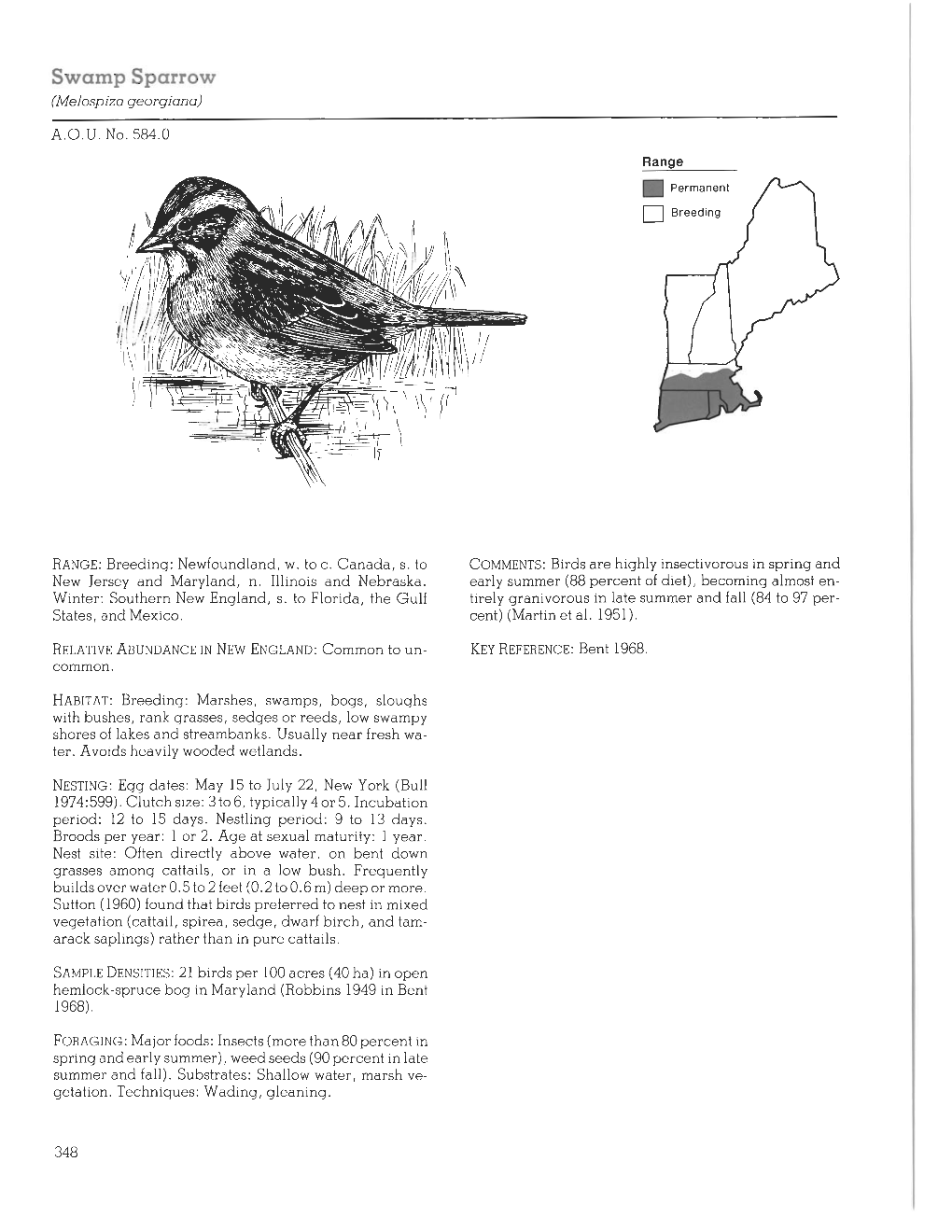 Swamp Sparrow (Melospiza Georgiana)