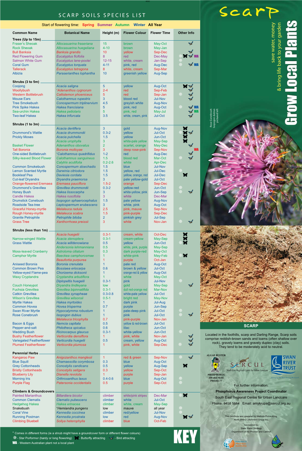 Scarp Soils Species List