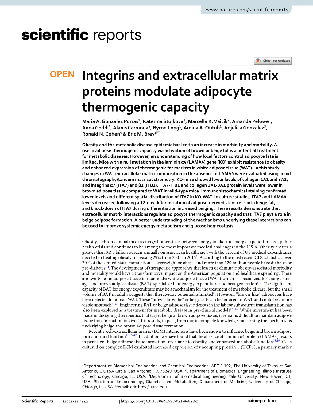 Integrins and Extracellular Matrix Proteins Modulate Adipocyte Thermogenic Capacity Maria A