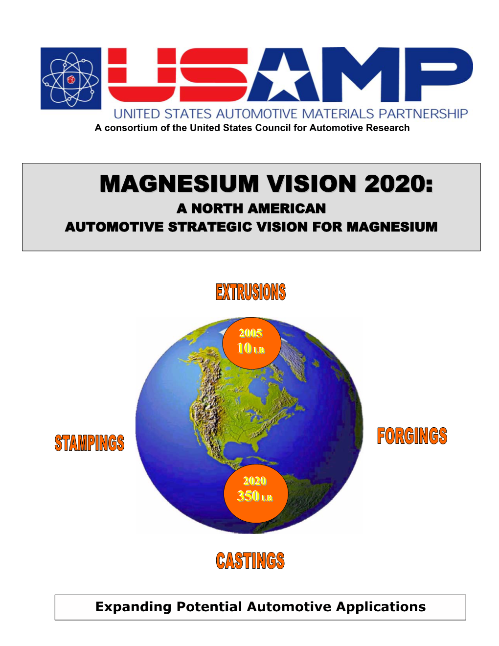 Magnesium Vision 2020