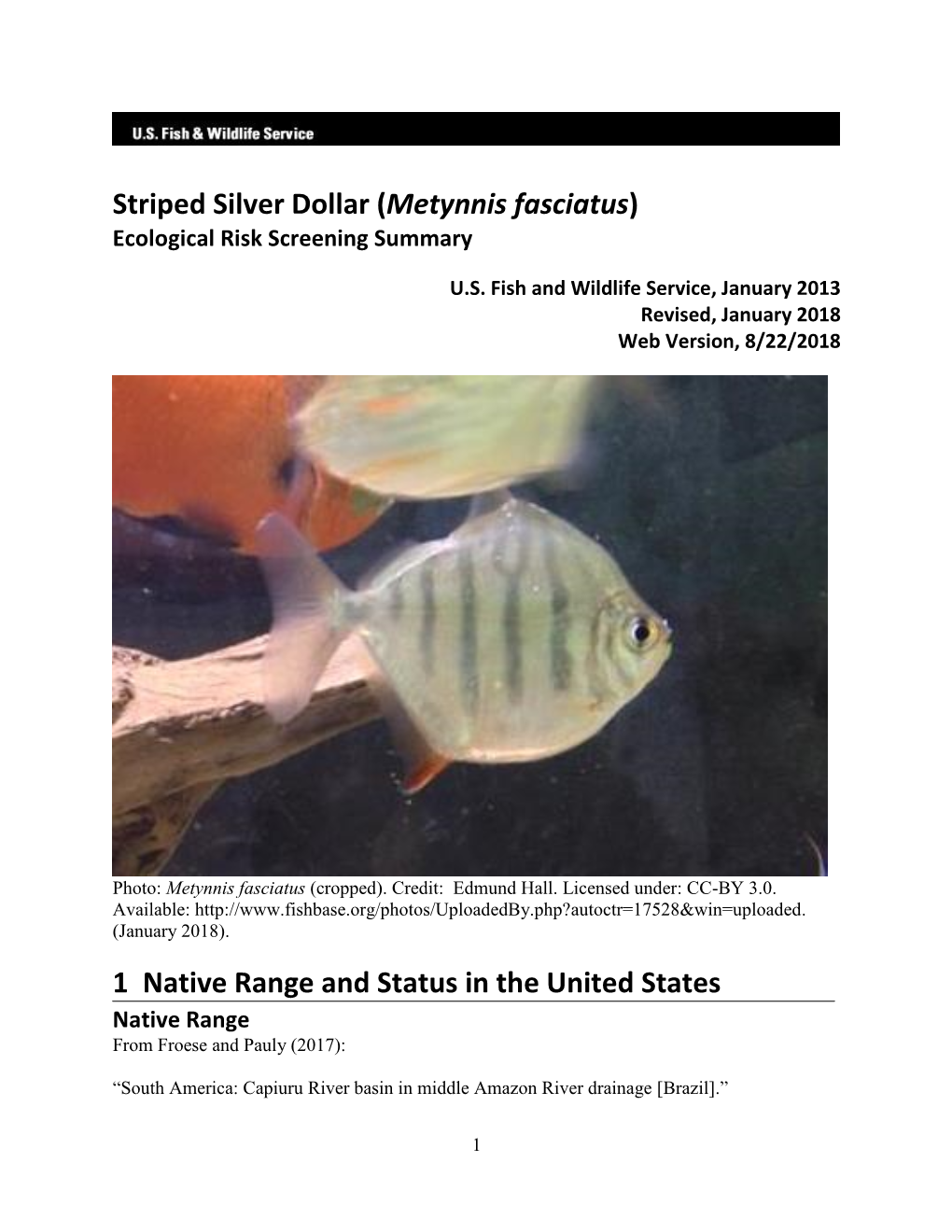 Striped Silver Dollar (Metynnis Fasciatus) Ecological Risk Screening Summary