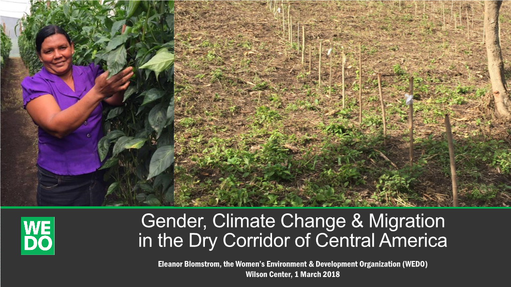 Gender, Climate Change & Migration in the Dry Corridor of Central America
