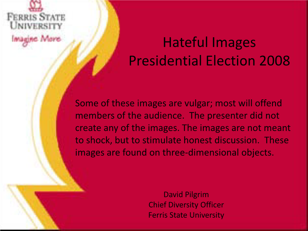 Hateful Images Presidential Election 2008