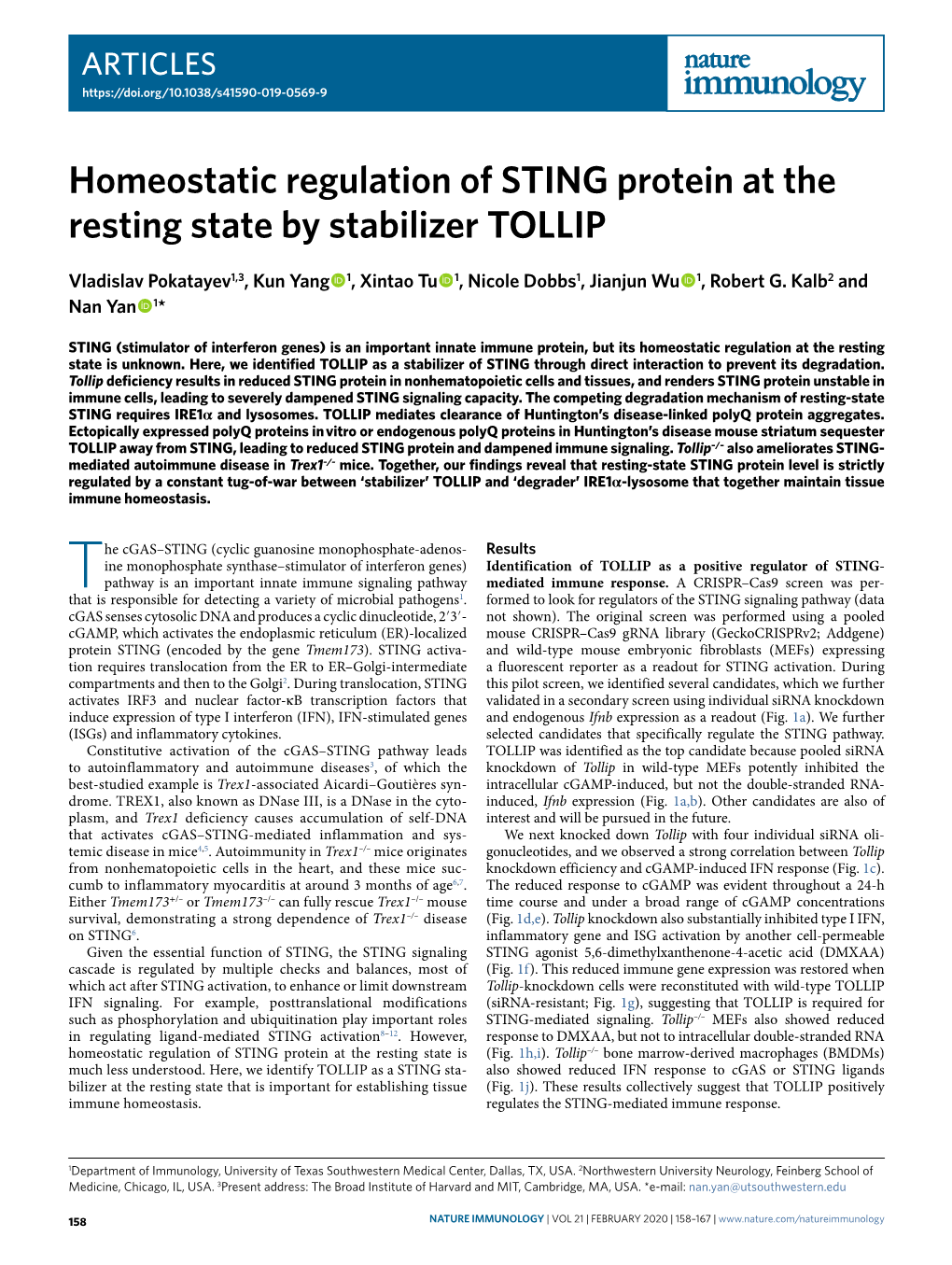 Homeostatic Regulation of STING Protein at the Resting State by Stabilizer TOLLIP