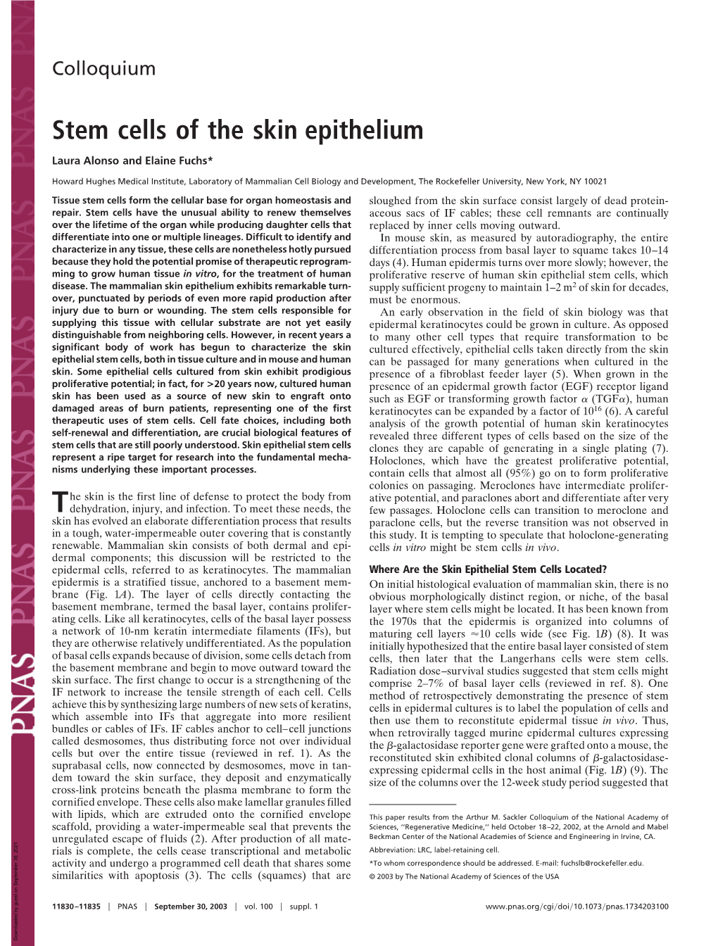 Stem Cells of the Skin Epithelium