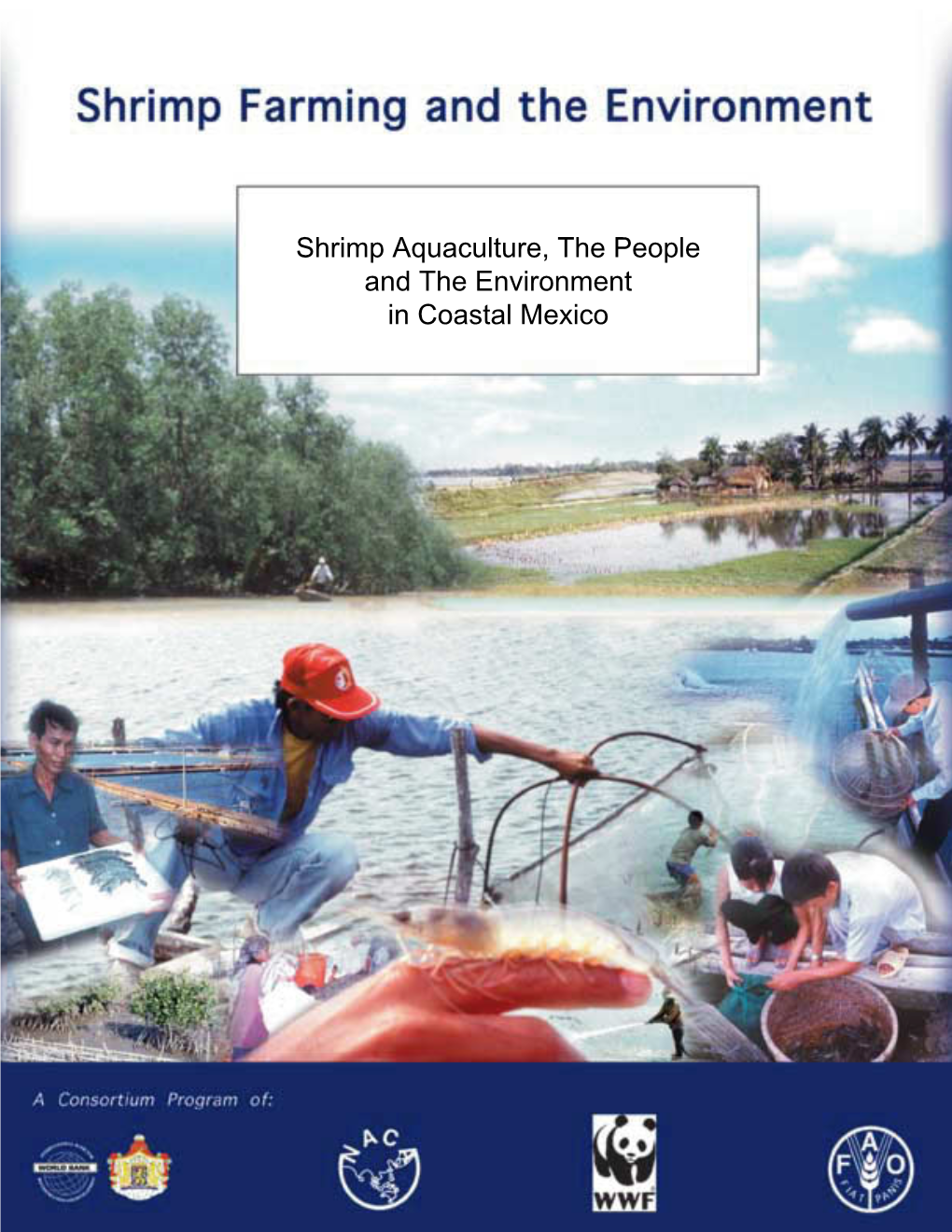 Shrimp Aquaculture, the People and the Environment in Coastal Mexico