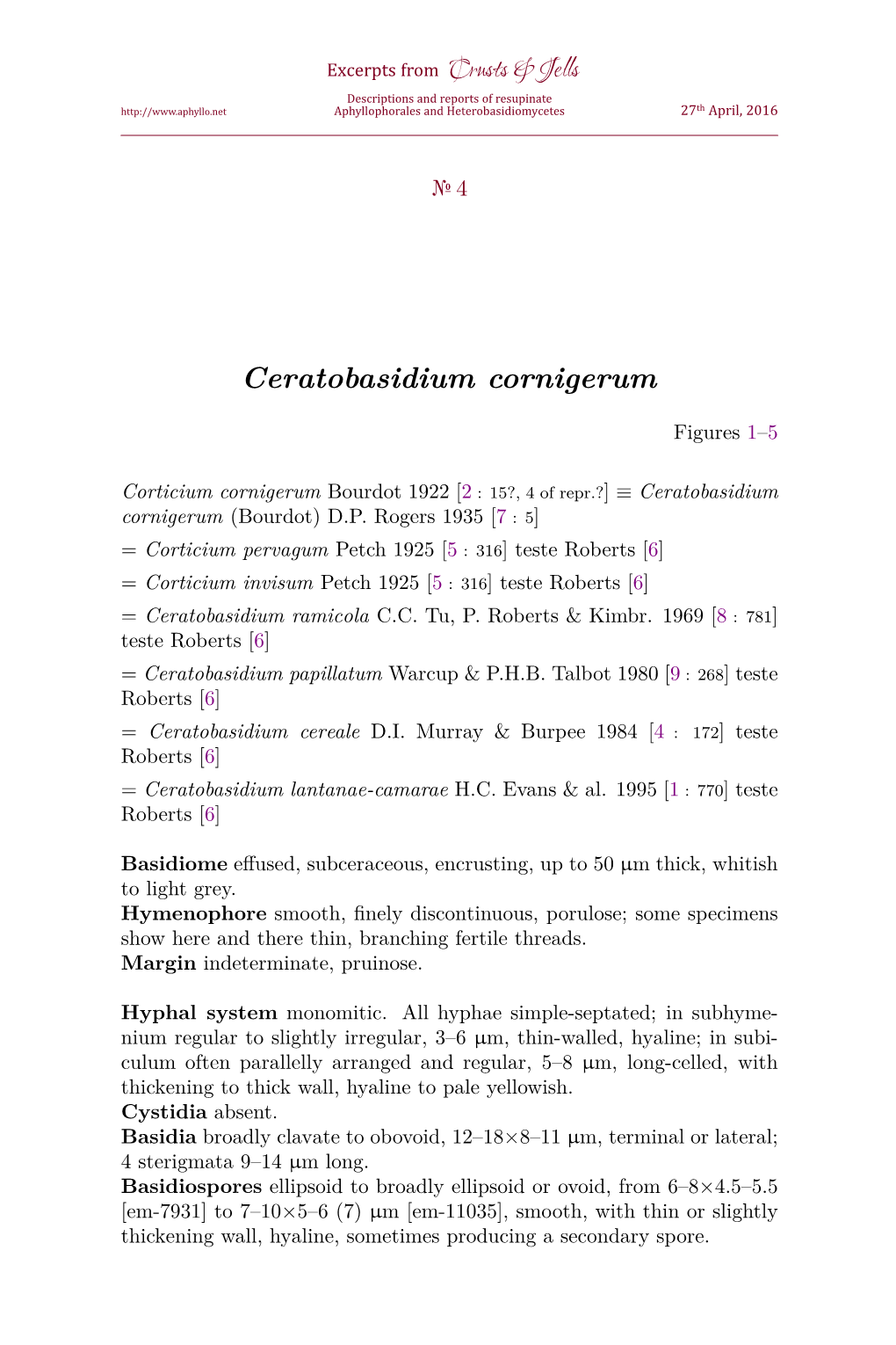 Ceratobasidium Cornigerum