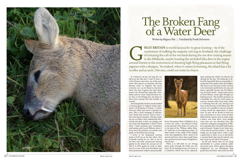 The Broken Fang of a Water Deer Written by Magnus Pelz | Translated by Frank Ochsmann