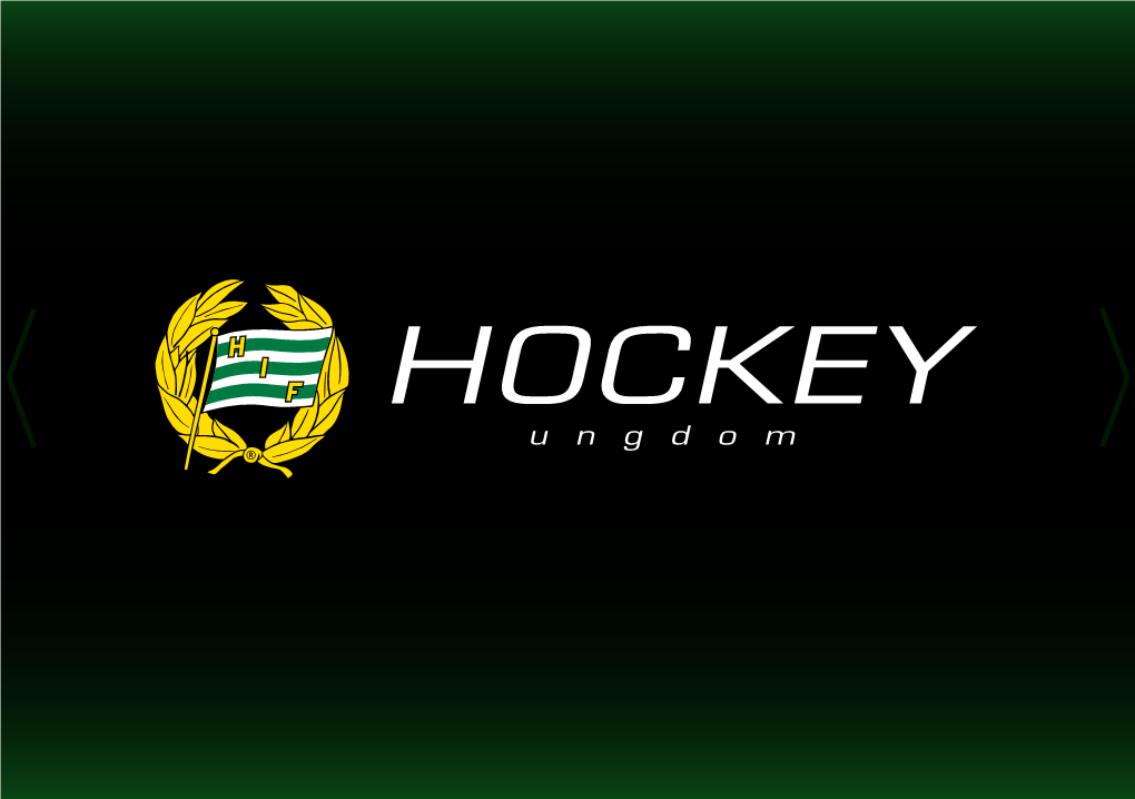 Hammarby Hockey Ungdom
