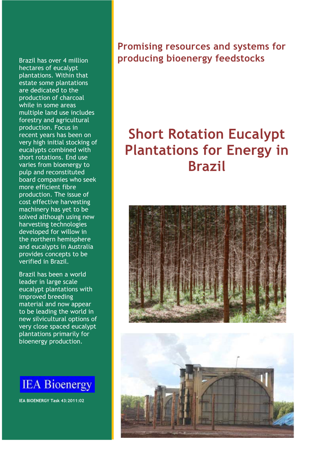 Short Rotation Eucalypt Plantations for Energy in Brazil