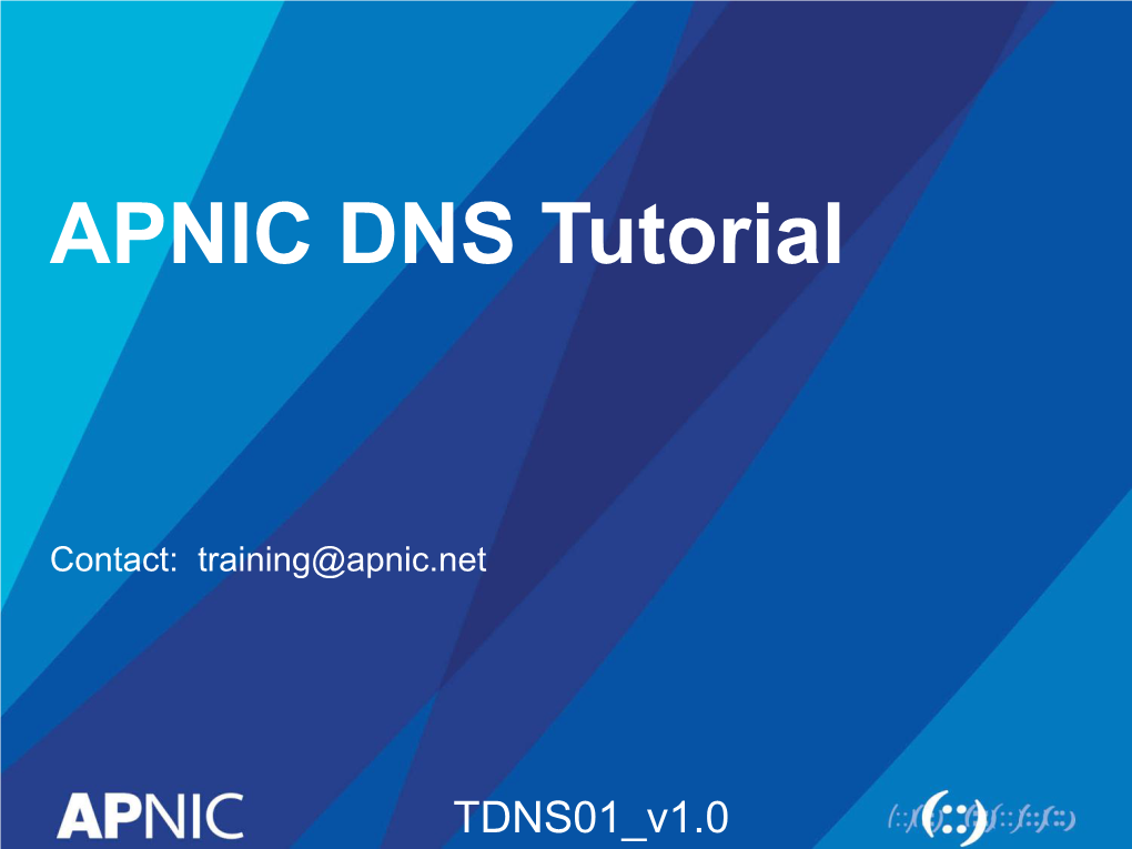 APNIC DNS Tutorial