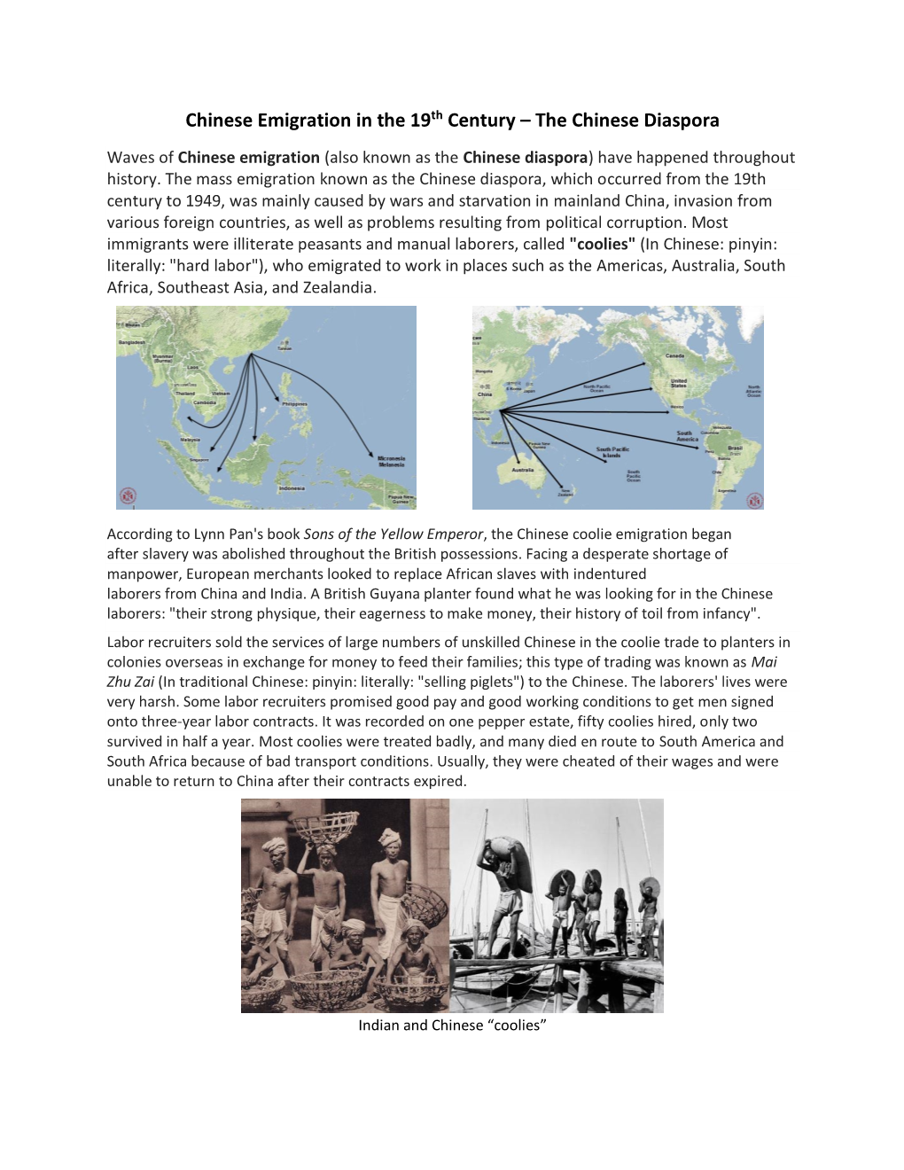 Chinese Emigration in the 19Th Century – the Chinese Diaspora