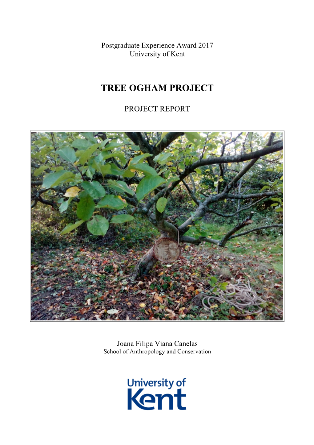 Tree Ogham Project