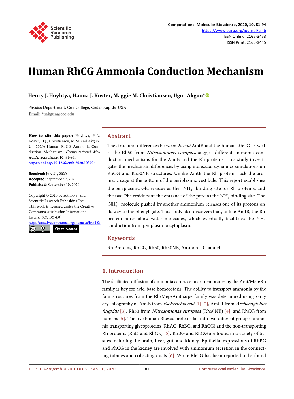 Human Rhcg Ammonia Conduction Mechanism