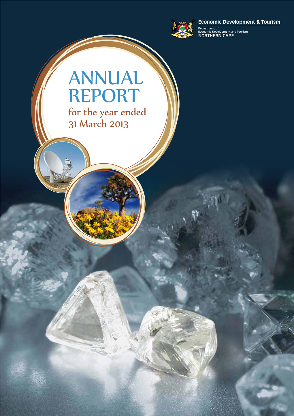 ANNUAL REPORT for the Year Ended 31 March 2013
