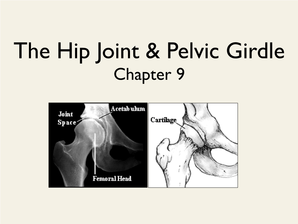 The Hip Joint & Pelvic Girdle