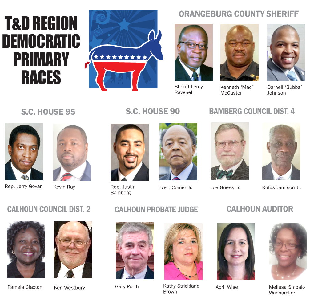 T&D Region Democratic Primary Races
