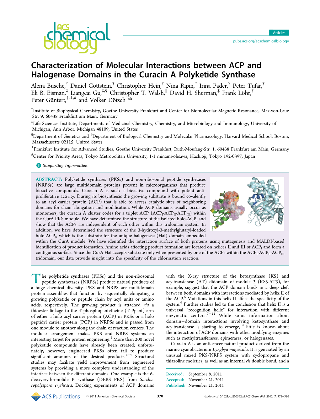 Characterization of Molecular Interactions Between ACP And