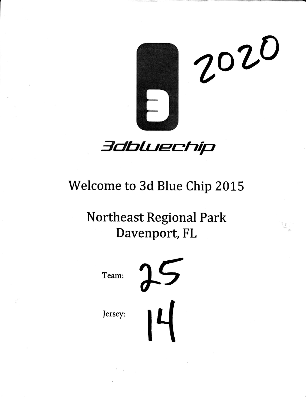3D Blue Chip 20L5