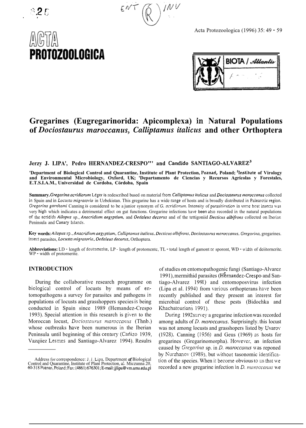 Gregarines (Eugregarinorida: Apicomplexa) in Natural Populations of Dociostauriis Maroccanus, Calliptamus Italicus and Other Orthoptera