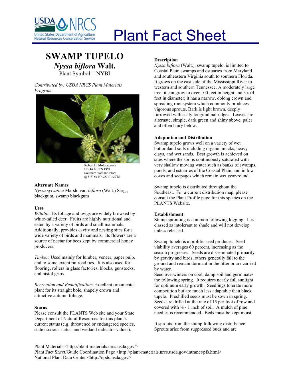 SWAMP TUPELO Description Nyssa Biflora Walt