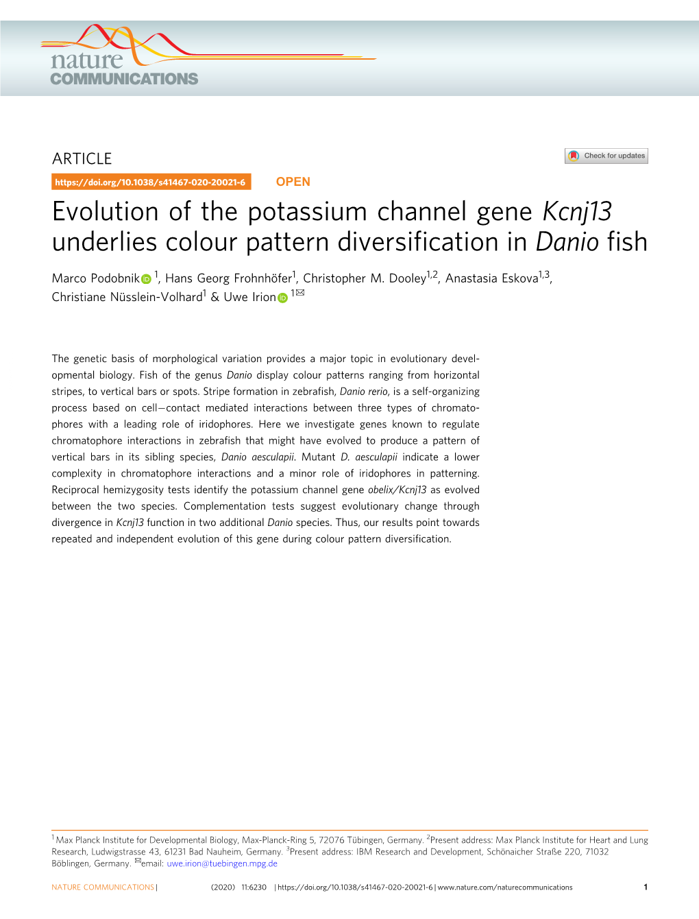 Evolution of the Potassium Channel Gene Kcnj13 Underlies Colour Pattern Diversification in Danio Fish