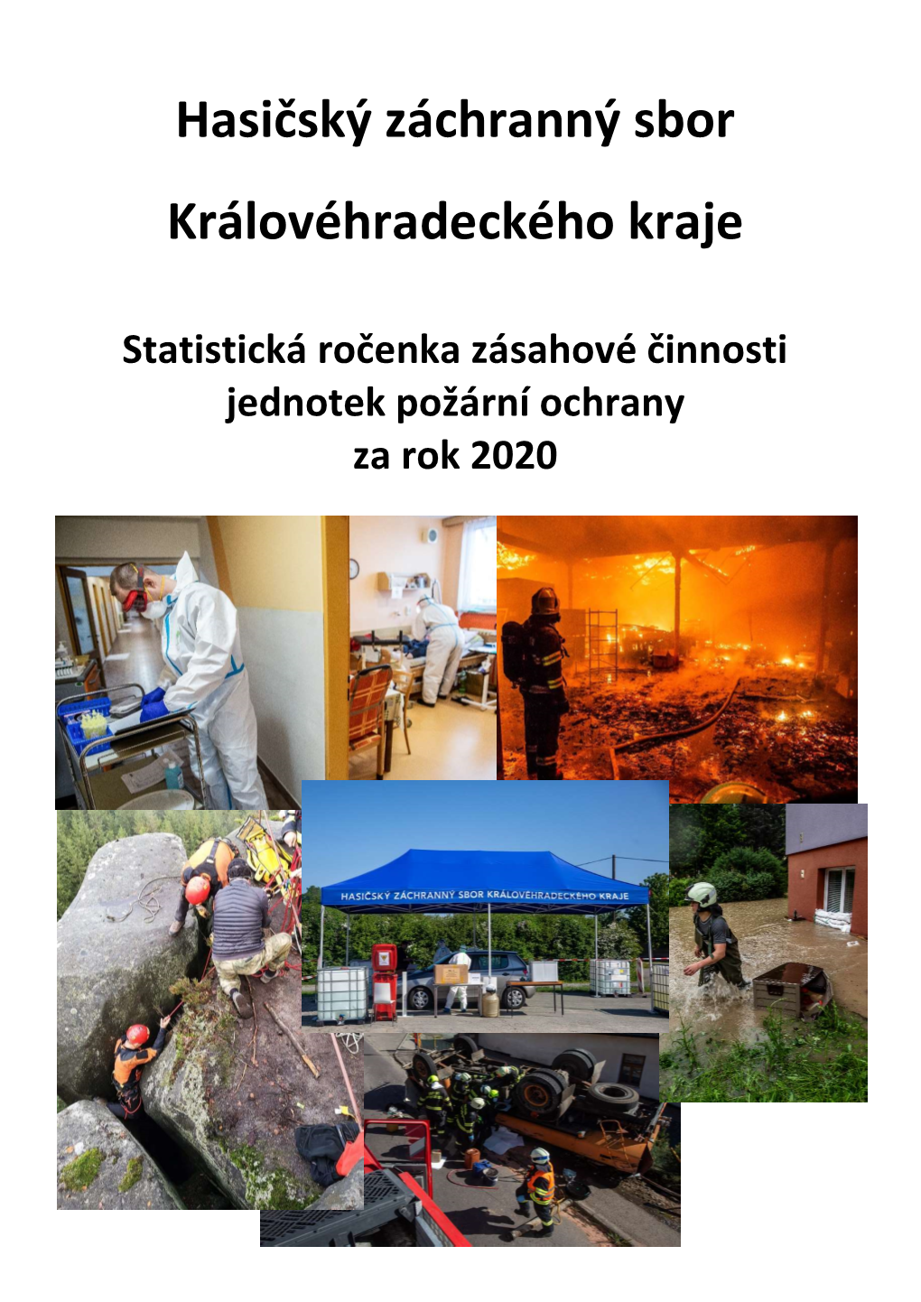 Statistická Ročenka Za Rok 2020