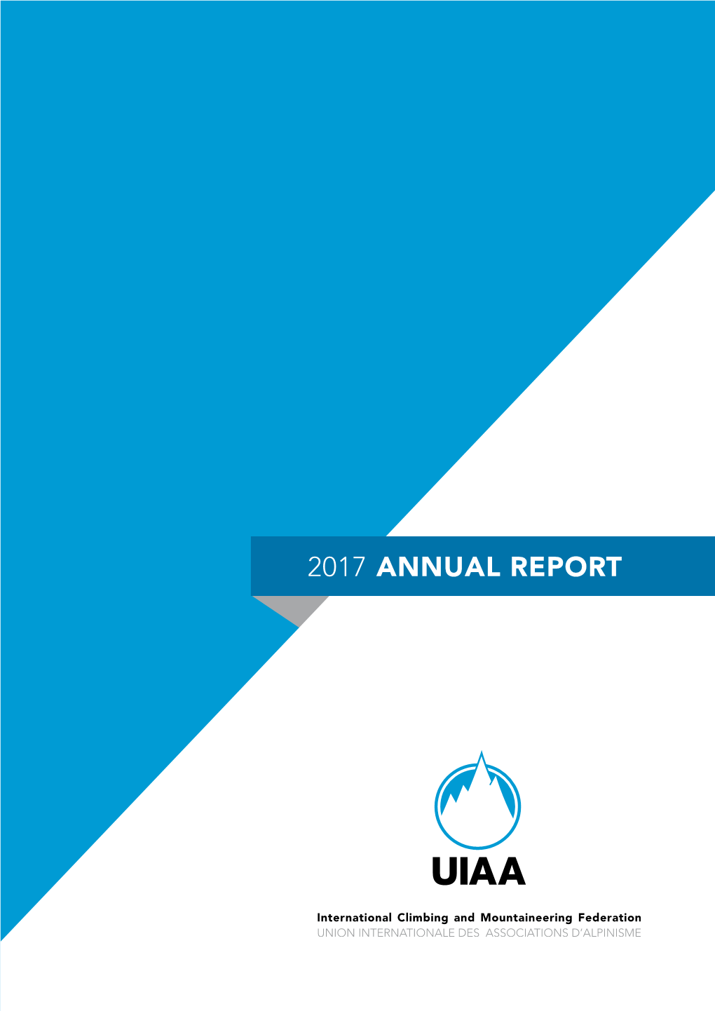 2017 ANNUAL REPORT Overview