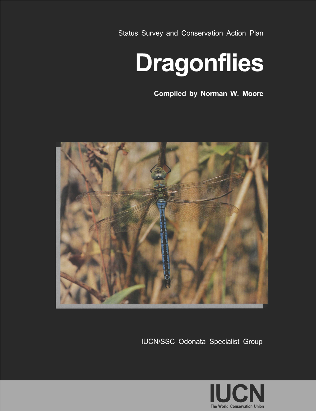 Dragonflies IUCN