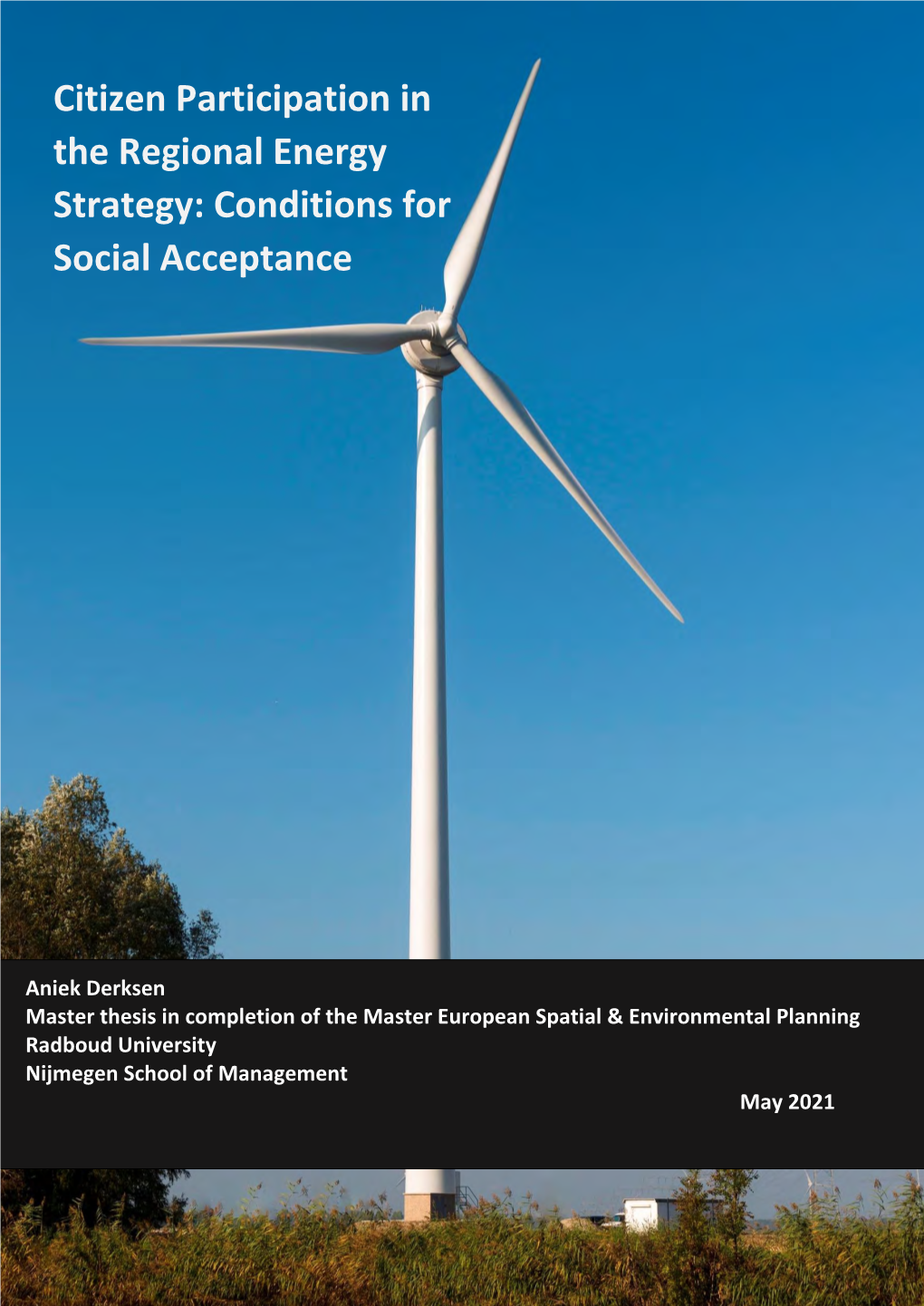 Citizen Participation in the Regional Energy Strategy: Conditions for Social Acceptance