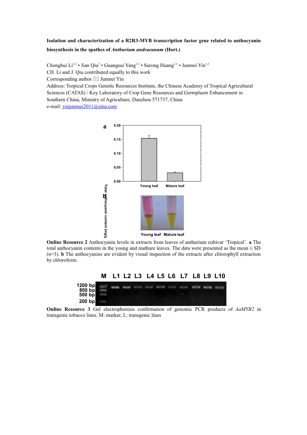 Isolation and Characterization of a R2R3-MYB Transcription Factor Gene Related to Anthocyanin