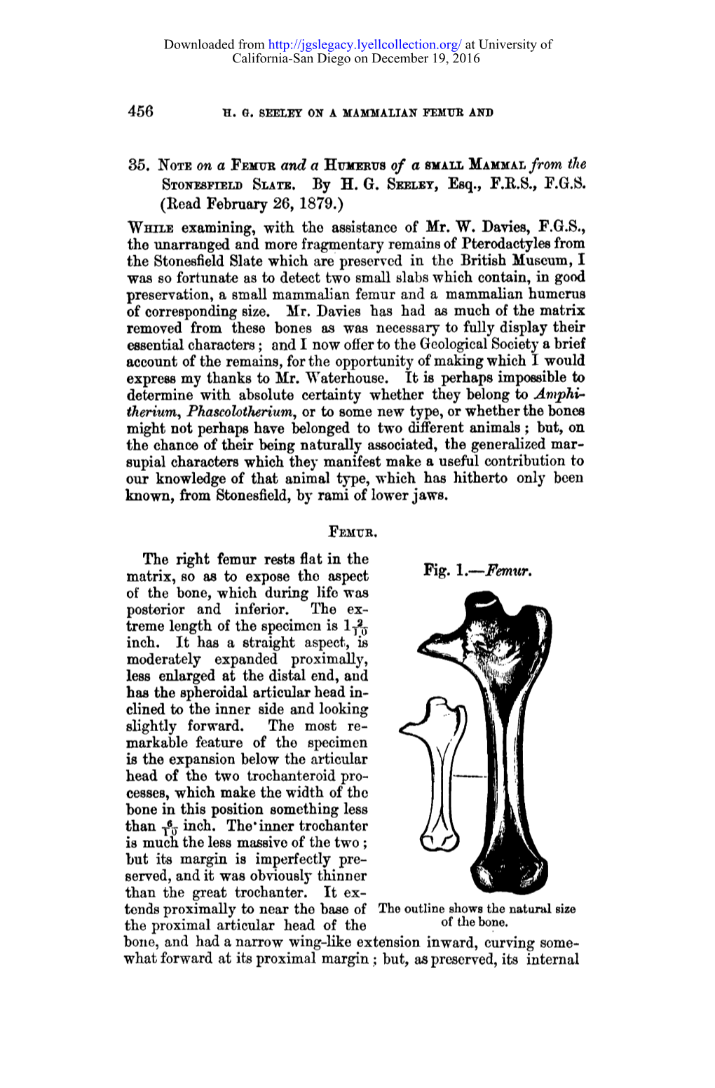 AT. from the Fig. 1.--Femur