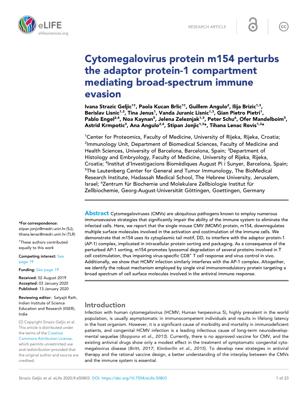 Cytomegalovirus Protein M154 Perturbs the Adaptor Protein-1