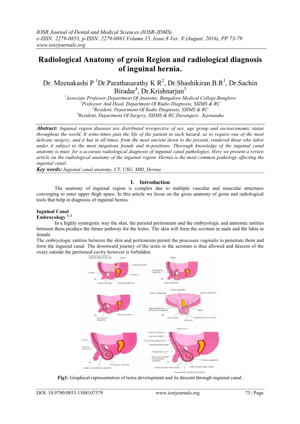 Radiological Anatomy of Groin Region and Radiological Diagnosis of Inguinal Hernia