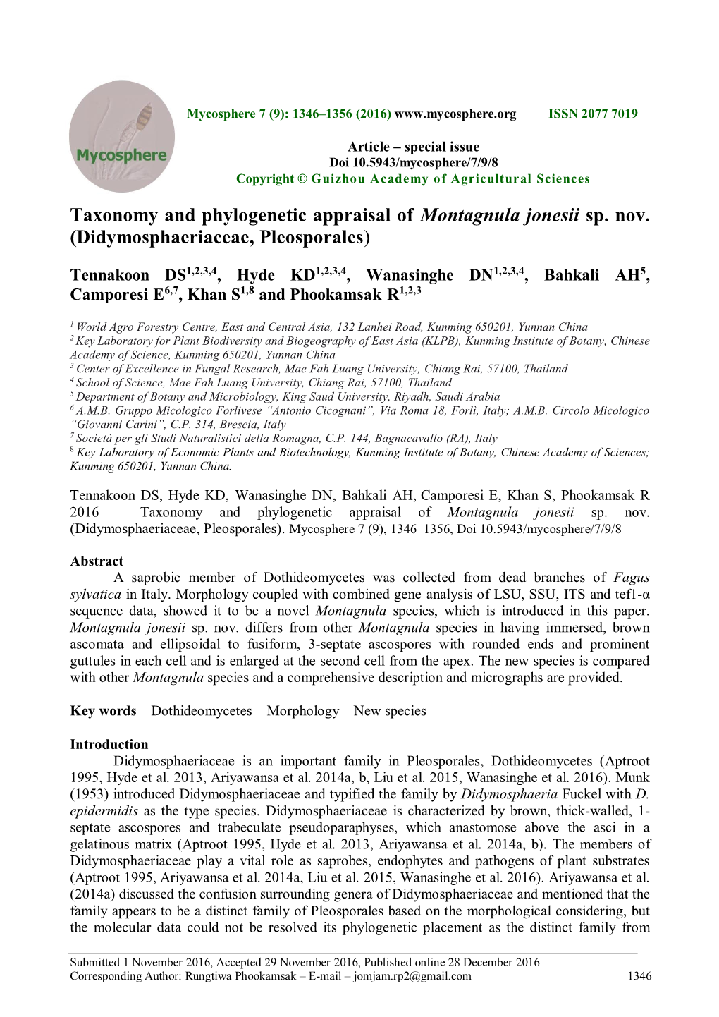 Taxonomy and Phylogenetic Appraisal of Montagnula Jonesii Sp