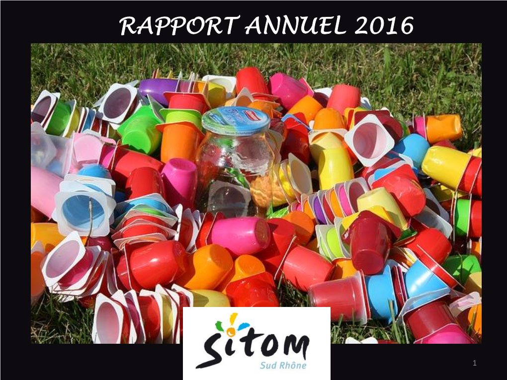 Rapport Annuel 2016.Pdf