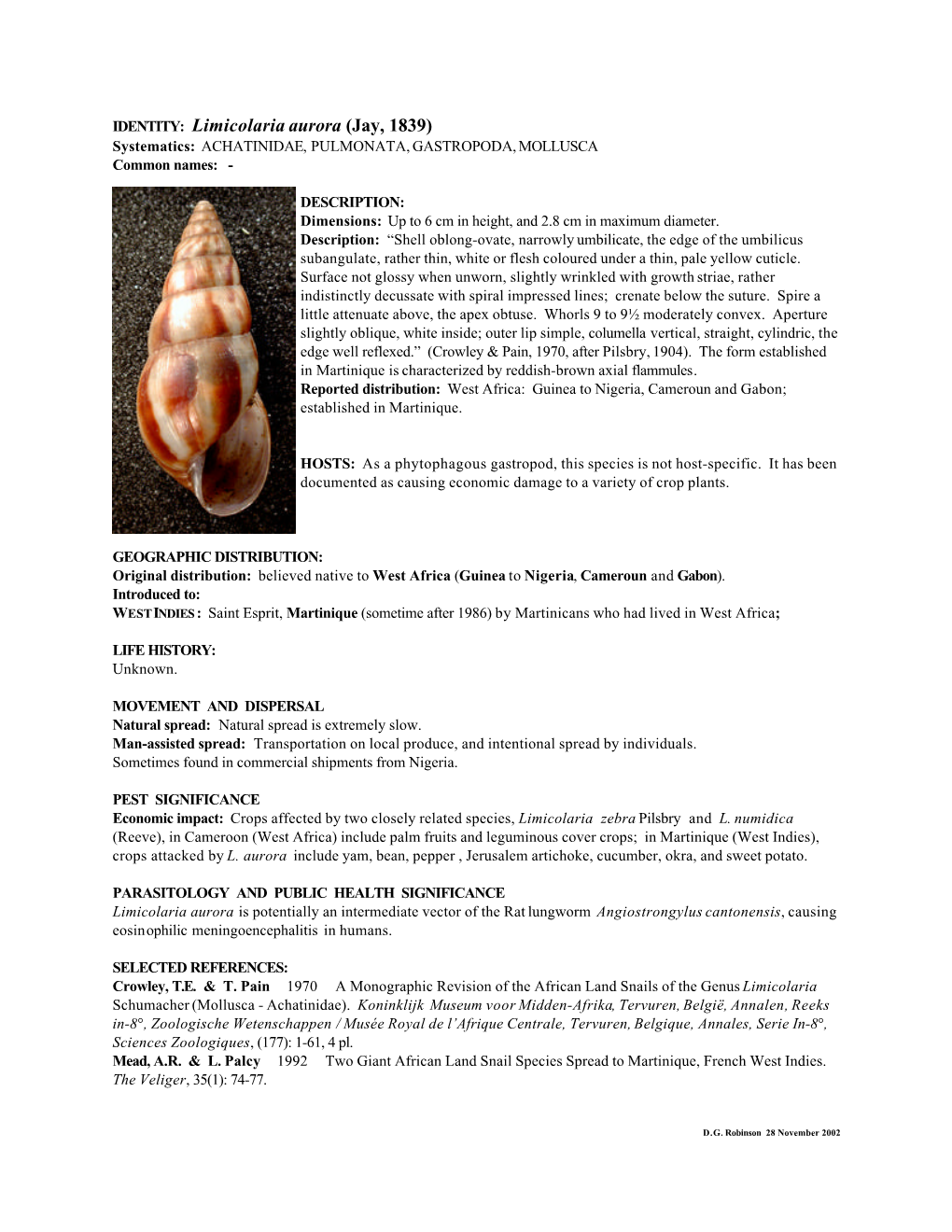 Limicolaria Aurora (Jay, 1839) Systematics: ACHATINIDAE, PULMONATA, GASTROPODA, MOLLUSCA Common Names: