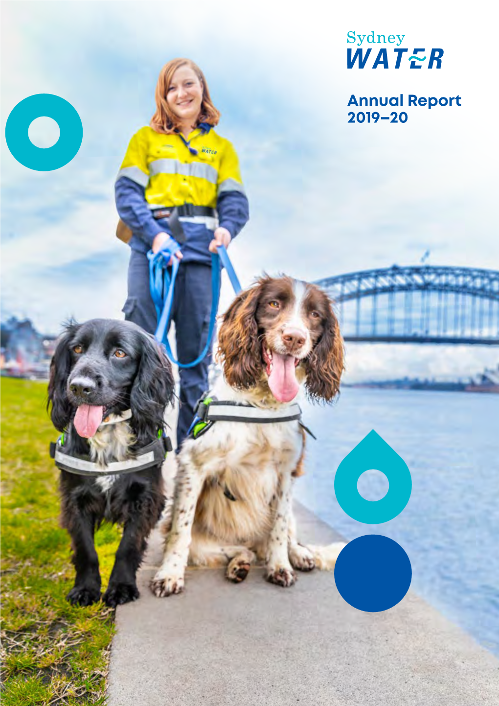 Annual Report 2019–20