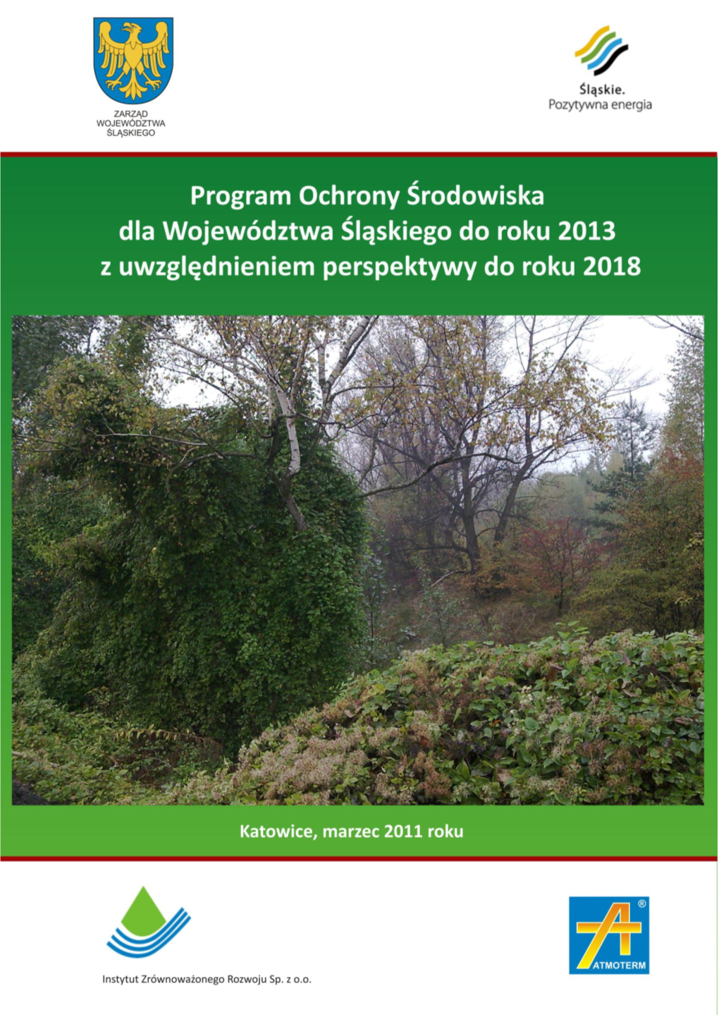 Program Ochrony Środowiska Dla Województwa Śląskiego Do Roku 2013 Z Uwzględnieniem Perspektywy Do Roku 2018