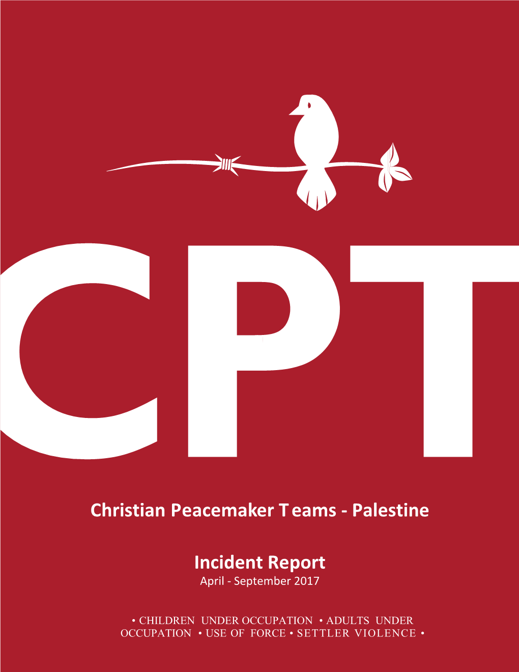 Christian Peacemaker T Eams - Palestine