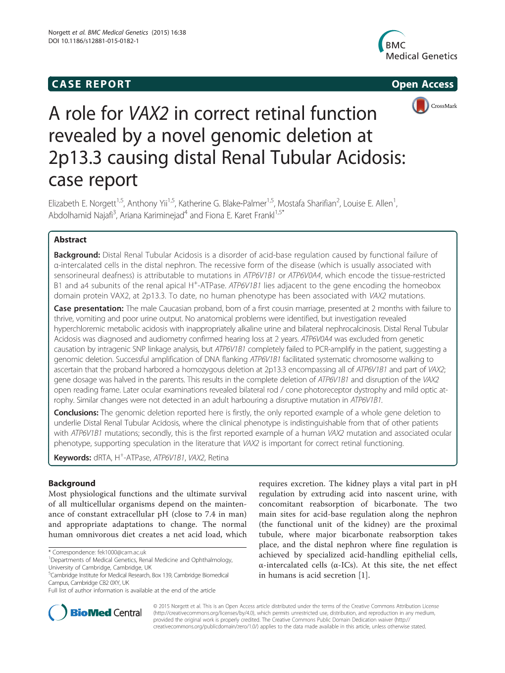 A Role for VAX2 in Correct Retinal Function Revealed by a Novel