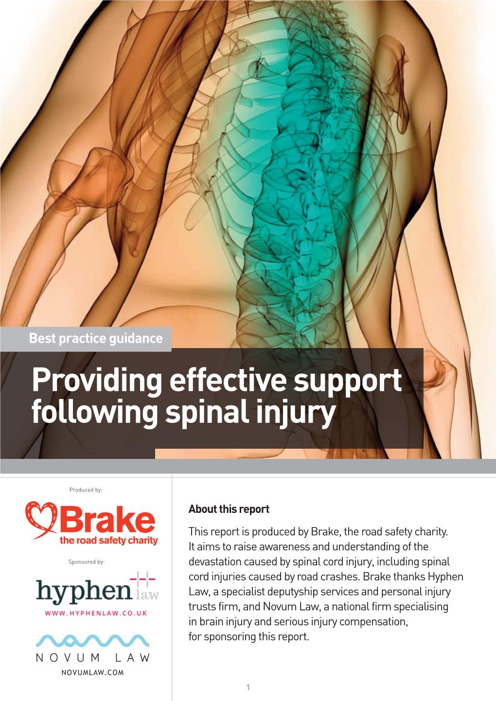 Providing Effective Support Following Spinal Injury