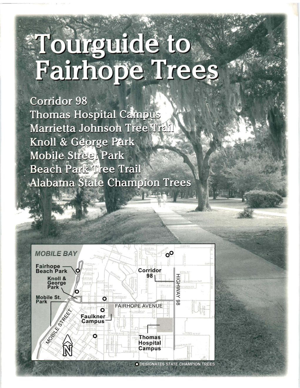 Tourguide to Fairhope Trees